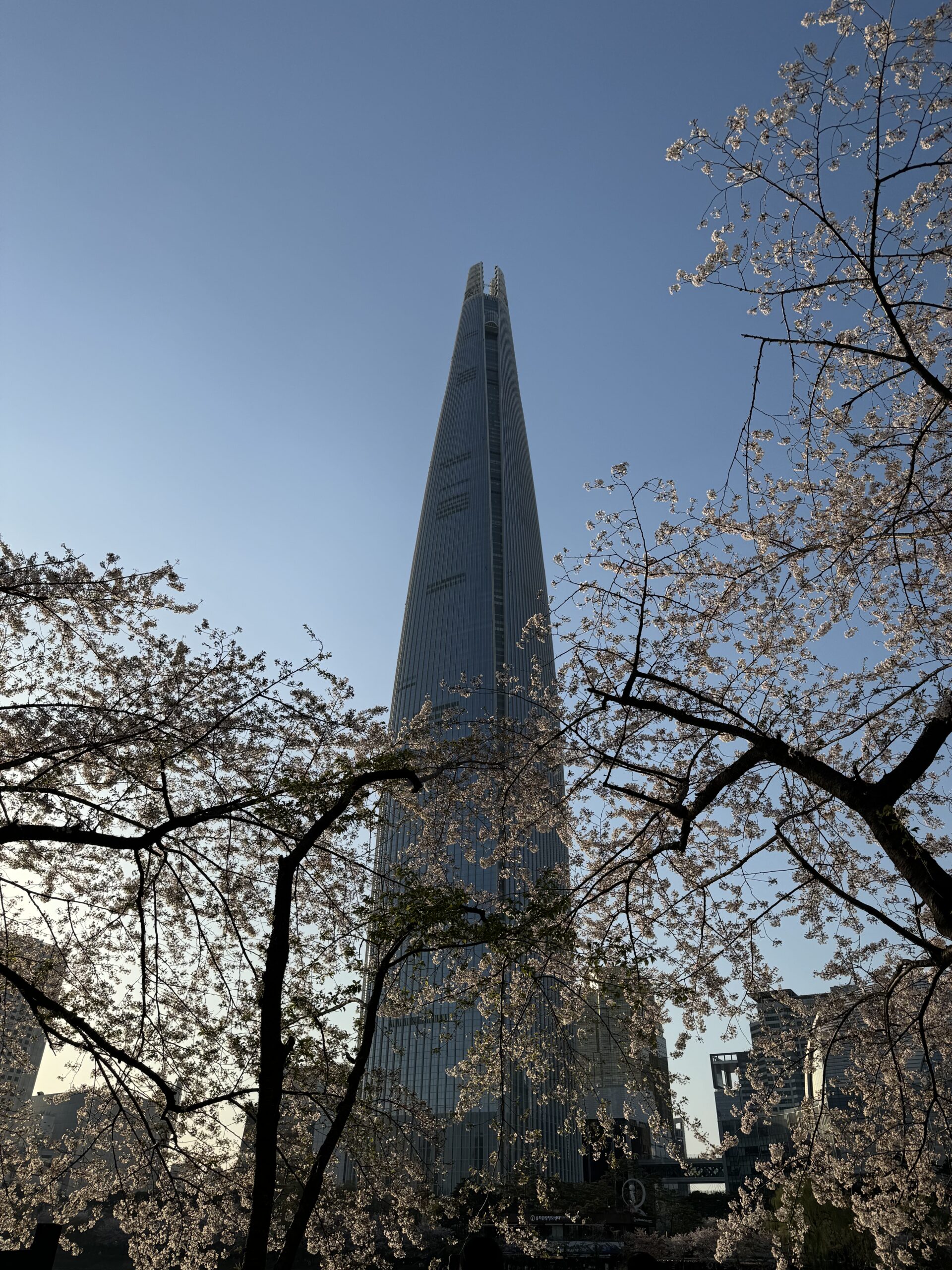 sfsdfsf sf sdf asdf asd as